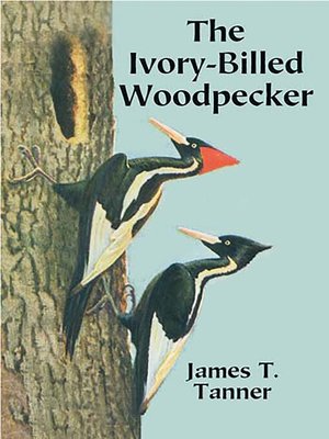 cover image of The Ivory-Billed Woodpecker